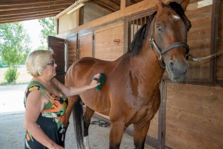 Equitazione: un toccasana per il corpo e la mente Equitazione