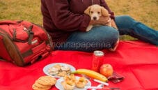 Stuzzicanti millefoglie di melanzana con cestini di verdure Stuzzicanti millefoglie di melanzana con cestini di verdure
