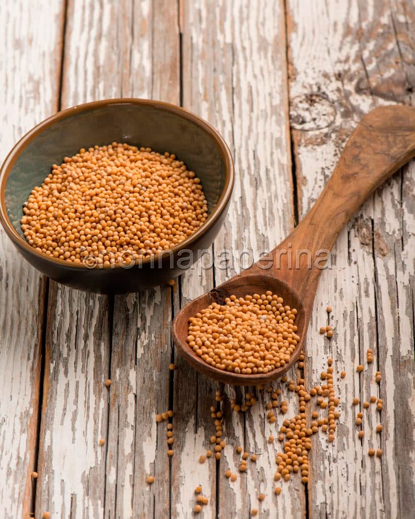 senape gialla senape gialla