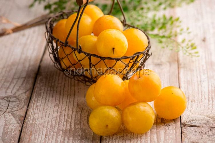 Le susine: un frutto in equilibrio tra dolce ed acidulo susine