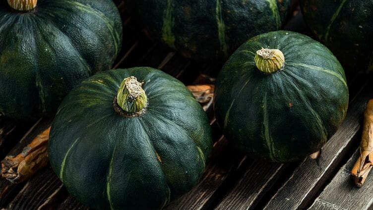 zucca giapponese kabocha zxucca kabocha