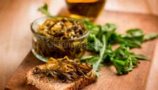 Tarassaco sott’olio, un’alternativa alle classiche conserve
