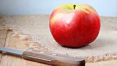 alternative vegetariane alla colla di pesce