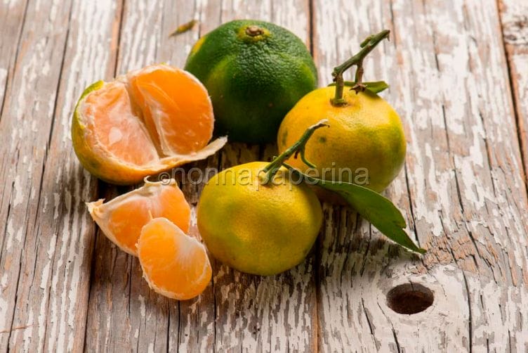 Miyagawa, dalla Cina l’agrume perfetto? Miyagawa