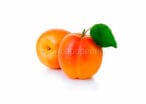 Apricots Apricots