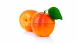 albicocche