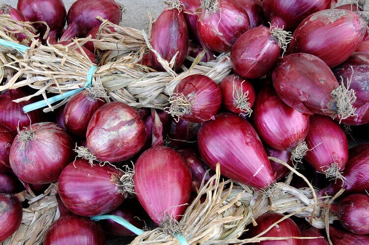 cipolle rosse di tropea