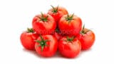 pomodori