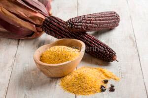 Mais Rostrato Rosso di Rovetta, una varietà pregiata Mais Rostrato Rosso di Rovetta, una varietà pregiata