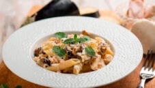 Pasta con melanzane e tonno per il mio pranzo Pasta con melanzane e tonno per il mio pranzo