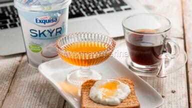 Skyr di Exquisa