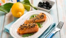 Salmone in crosta di cous cous, un secondo fusion Salmone in crosta di cous cous, un secondo fusion