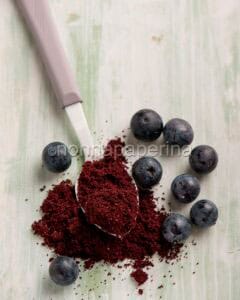 polvere di mirtilli
