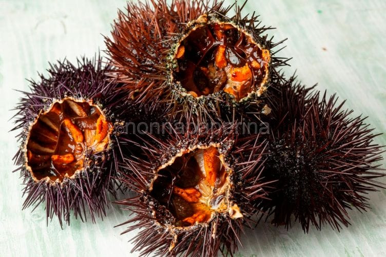 Ricci di mare, alla scoperta di un prodotto inusuale Ricci di mare