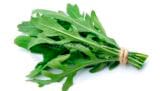 rucola