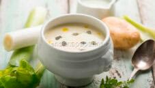 Crema Vichyssoise, una valida alternativa al pinzimonio Crema Vichyssoise, una valida alternativa al pinzimonio