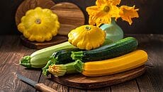 varietà di zucchine lunghe verdi, tonde, trombetta, gialle, patissons