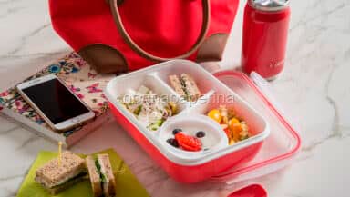 Schiscetta della studentessa