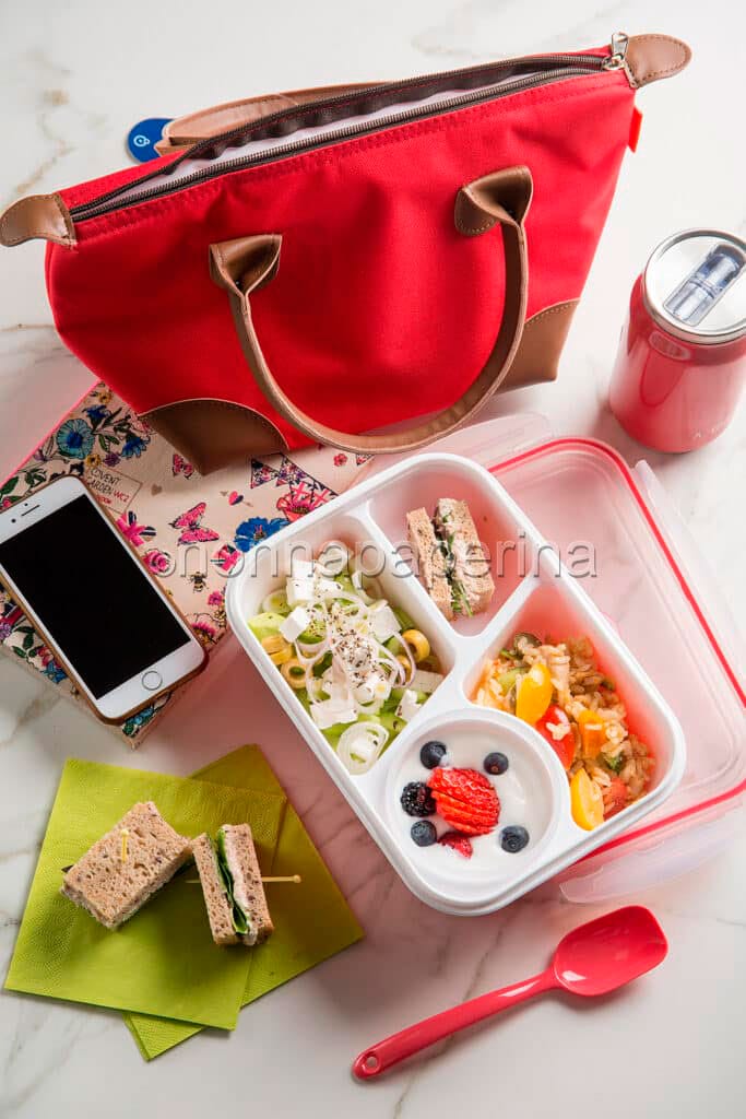 Schiscetta della studentessa