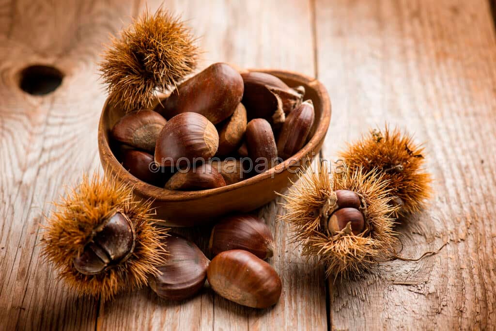 Castagne