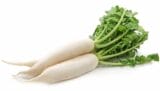 daikon