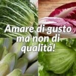 Verdure da insalata, le differenti varietà oltre la lattuga