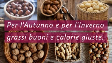 Frutta secca a guscio