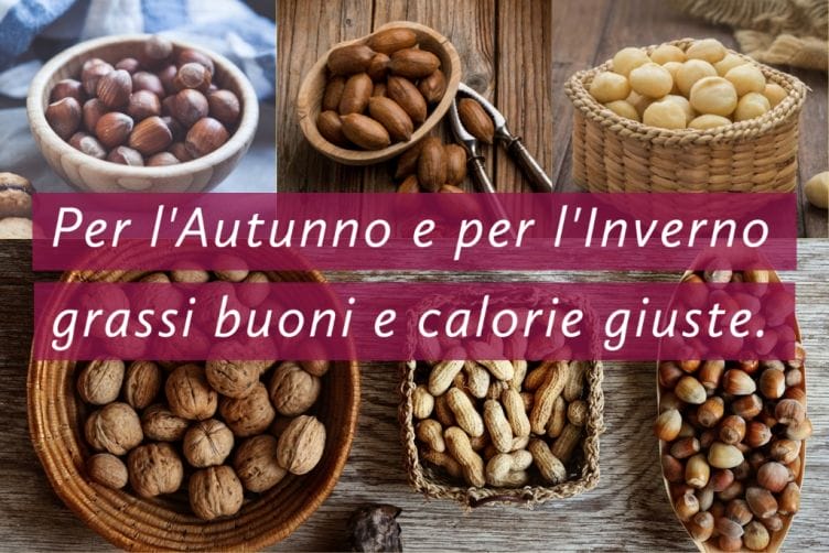 La frutta secca a guscio, proprietà e apporto calorico Frutta secca a guscio