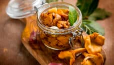 Finferli sott’olio, conserva facile da preparare