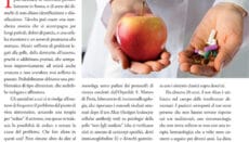 Italia a Tavola  Febbraio