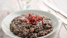 Risotto al nero di polpo, bontà dal colore particolare Risotto al nero di polpo, bontà dal colore particolare