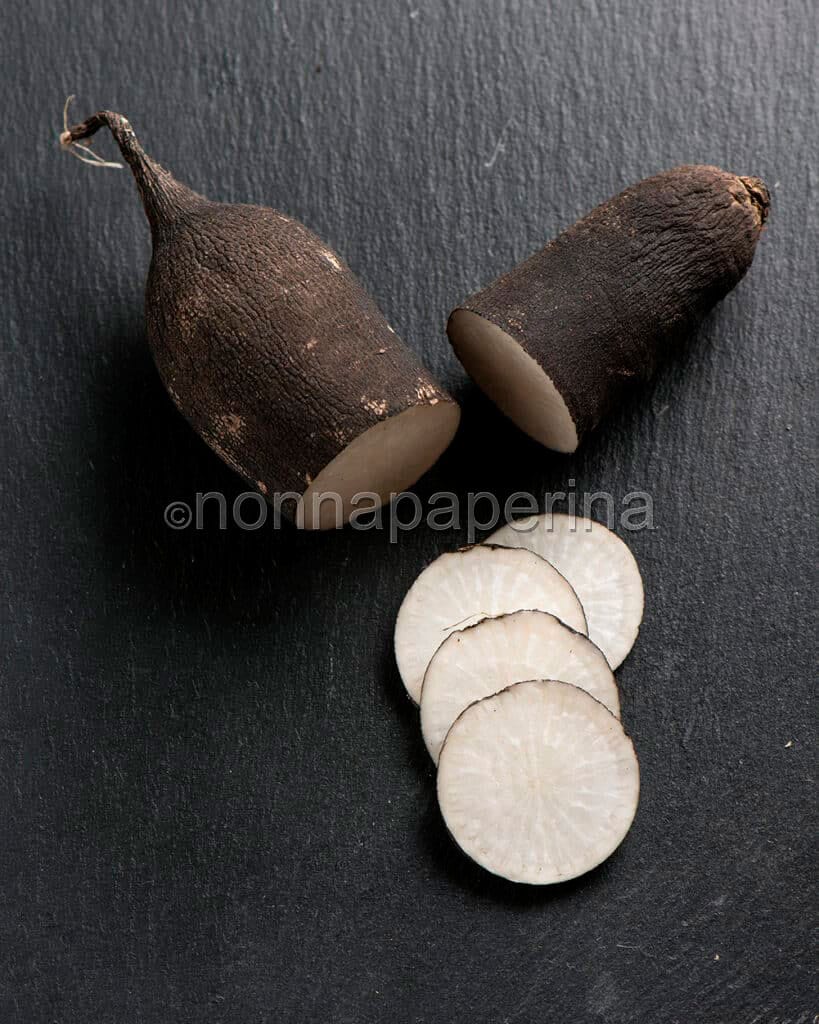 Radice di rafano nero Radice di rafano nero