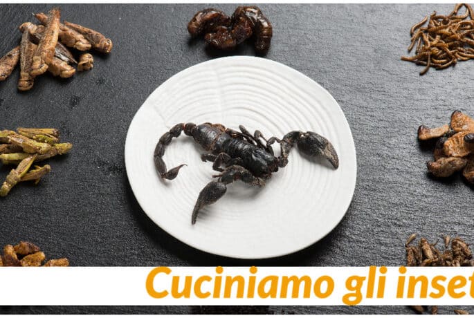 Alimento nuovo in cucina: gli insetti