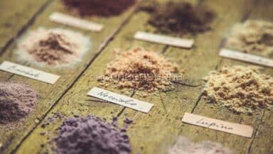 ebook farine senza glutine