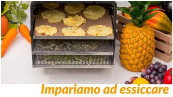 Impariamo ad essiccare