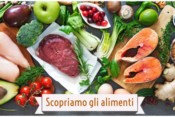 Scopriamo gli alimenti