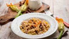 Ciccioneddos con fiori di zucchine, un piatto sardo Ciccioneddos con fiori di zucchine, un piatto sardo