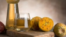 Figu Morisca, il liquore sardo ai fichi d’India