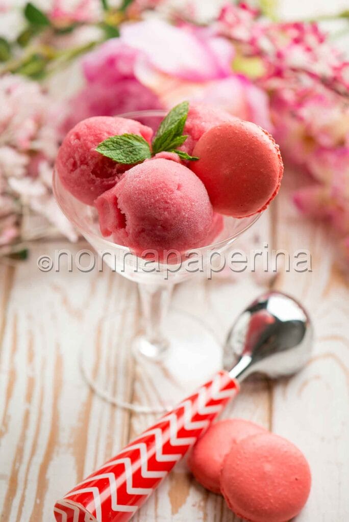 Sorbetto con ibisco e prosecco