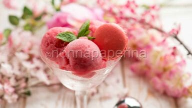 Sorbetto con ibisco e prosecco