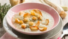 Crema di cardi e topinambur, un primo leggero e nutriente Crema di cardi e topinambur, un primo leggero e nutriente