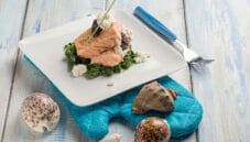 Il patè, una preparazione che valorizza gli antipasti