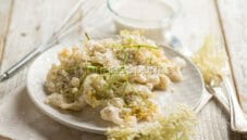 Frittelle con fiori di sambuco, una variante aromatica Frittelle con fiori di sambuco, una variante aromatica