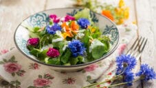 Insalata di fiori ed erbe con Skyr, un piatto elegante
