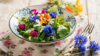 Insalata di fiori ed erbe con Skyr