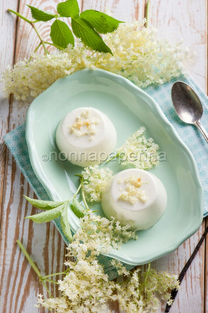 Panna cotta ai fiori di sambuco