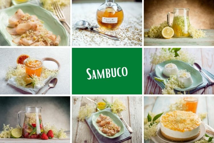 Sambuco, tante ricette facili con questa pianta sambuco