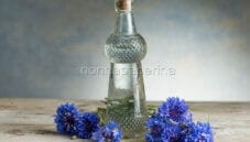 Acqua di fiordaliso, una soluzione cosmetica naturale