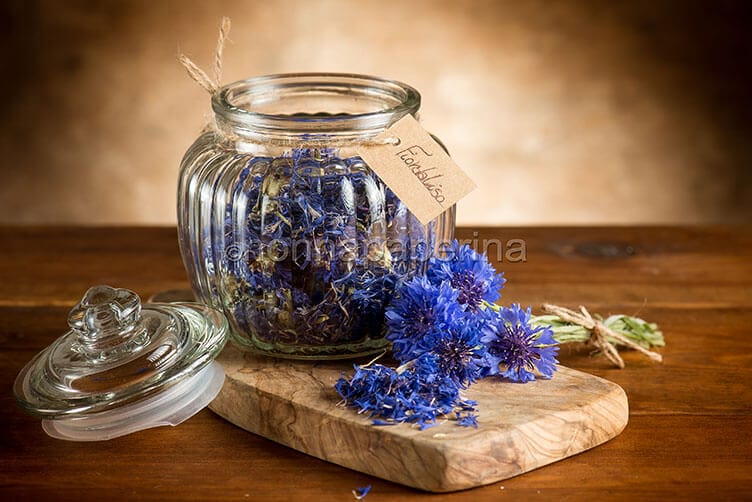 fiordalisi essiccati fiordalisi essiccati