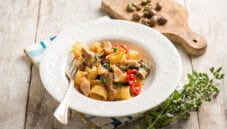 Calamarata con merluzzo e datterini, un primo estivo Calamarata con merluzzo e datterini, un primo estivo